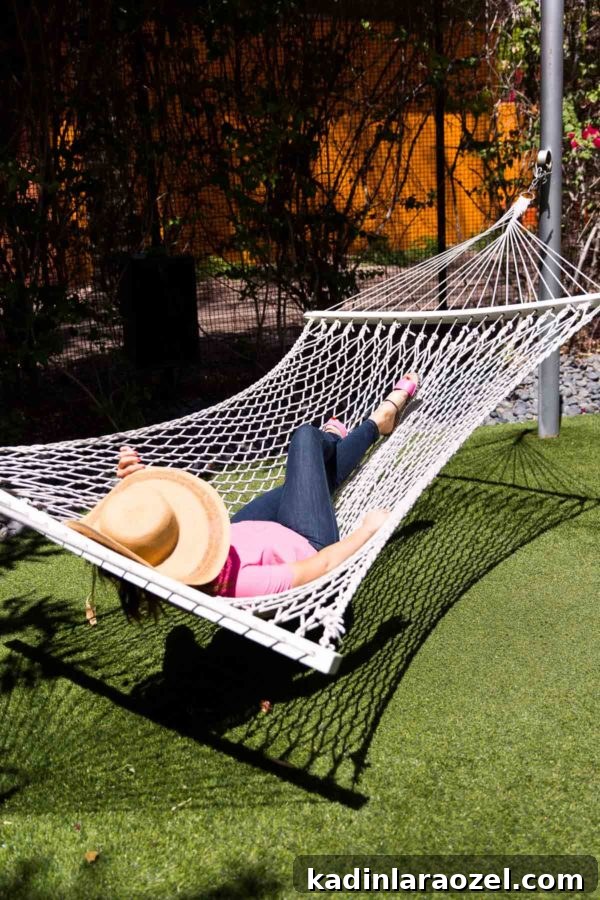 Scottsdale Travel Guide: Top Attractions, Dining & Outdoor Fun 8 img 76865 8