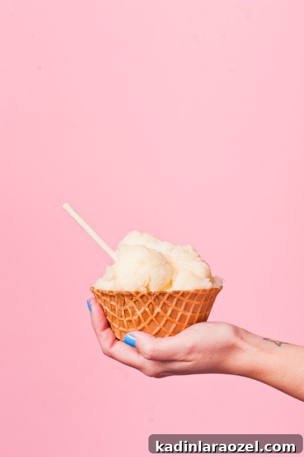 3 Refreshing Vegan Sorbet Recipes + DIY Colorful Sorbet Bar Guide 5 Lemon lime sorbet in a waffle cone!