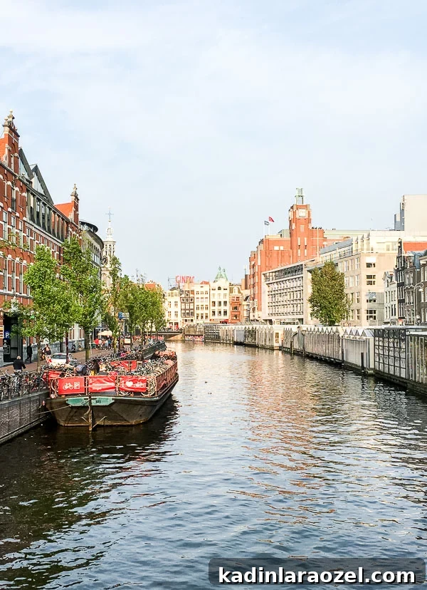The best things to do and see in Amsterdam (a travel guide)