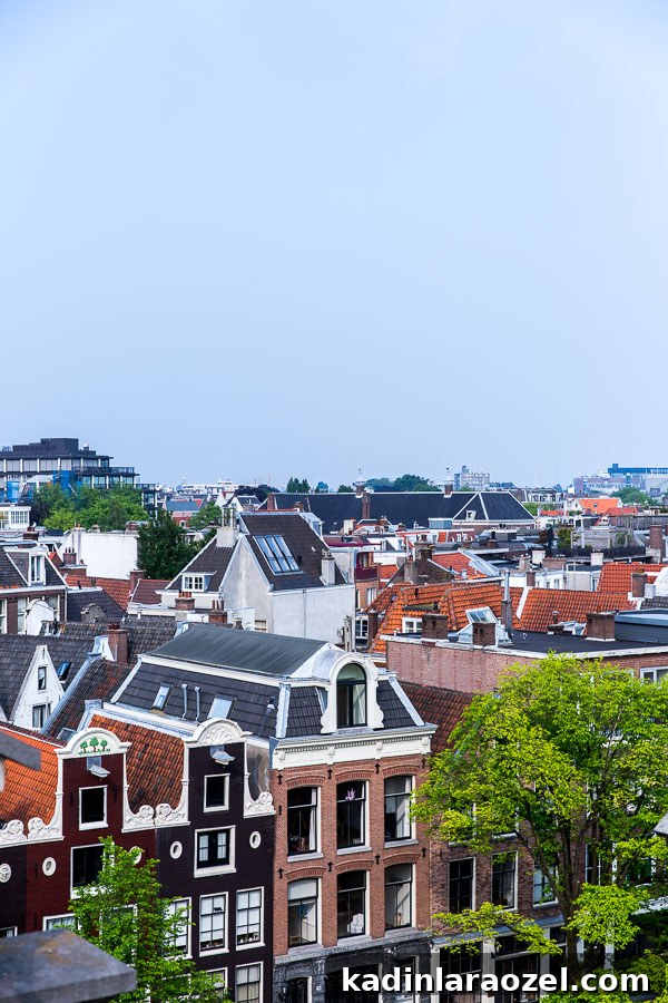 The best things to do and see in Amsterdam (a travel guide)