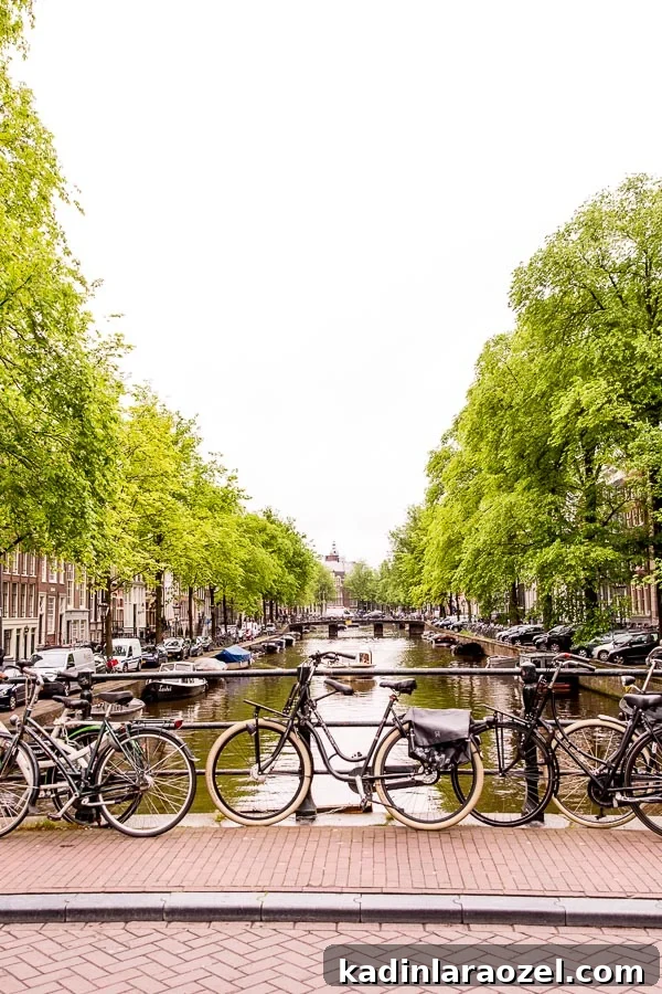 The best things to do and see in Amsterdam (a travel guide)