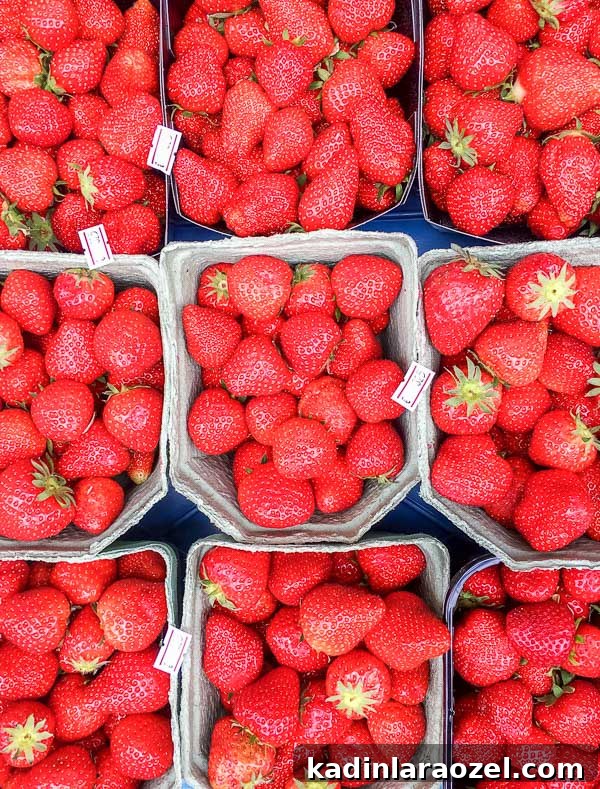 The markets in Amsterdam