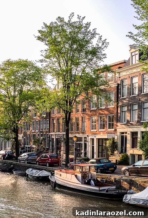 The best things to do and see in Amsterdam (a travel guide)