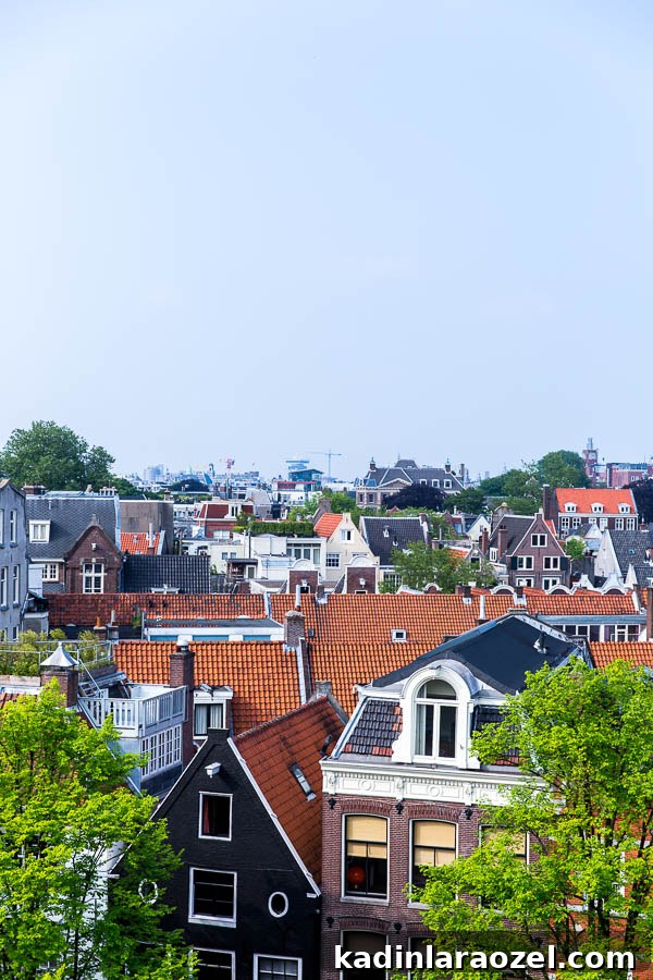 The best things to do and see in Amsterdam (a travel guide)