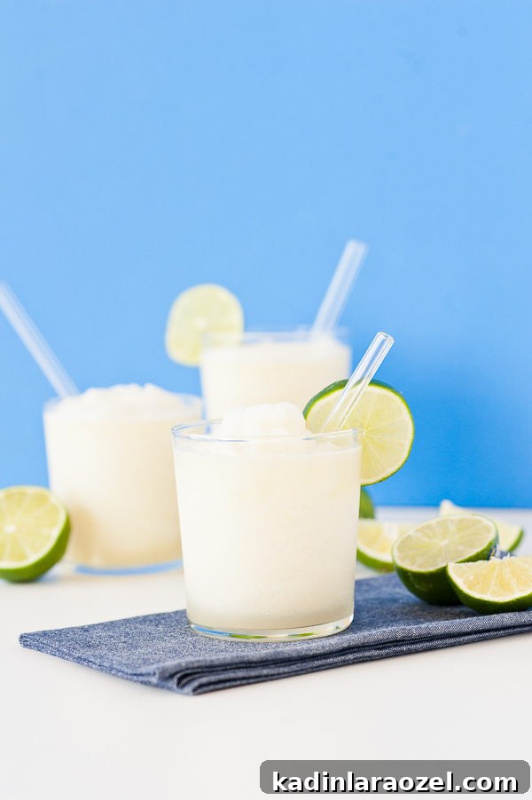 Hello Summer: 24 Irresistible Recipes for Hot Days 21 gin and juice slushies