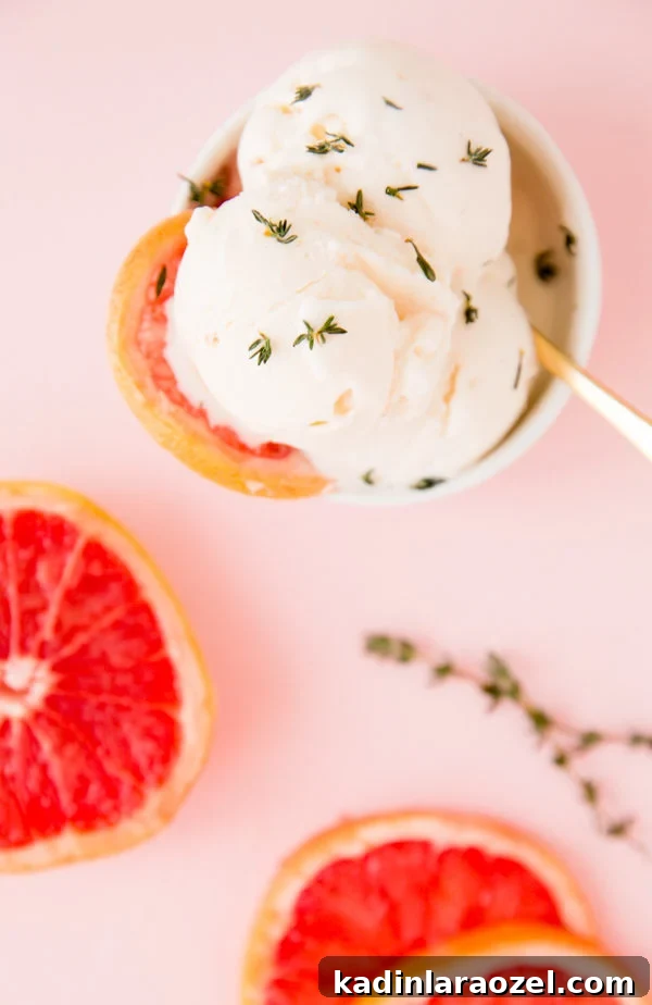 Hello Summer: 24 Irresistible Recipes for Hot Days 22 grapefruit vanilla thyme ice cream