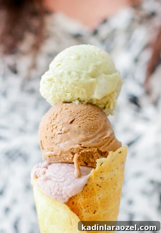 Hello Summer: 24 Irresistible Recipes for Hot Days 8 homemade froyo recipe