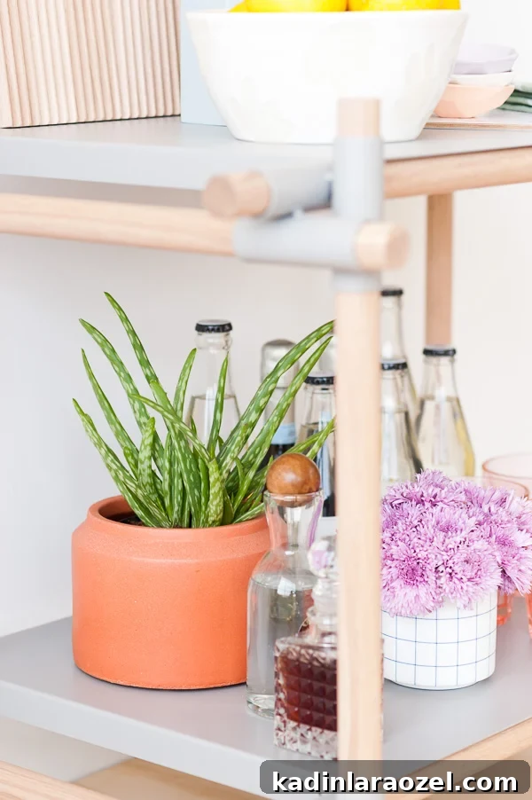 Summer Bar Cart Essentials: How to Style a Chic Home Bar Cart 9 Summer Bar Cart Essentials + Tips for Styling your Own Bar Cart at Home
