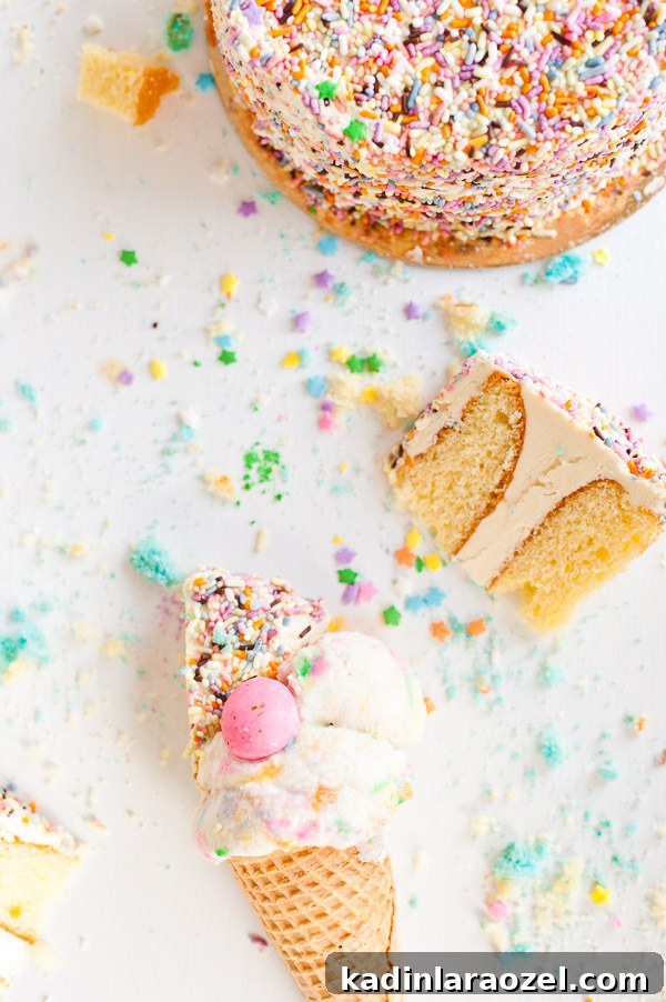Birthday Cake Ice Cream Recipe: How to Make Cake-Flavored Ice Cream 4 Birthday cake ice cream! Click through for the recipe.