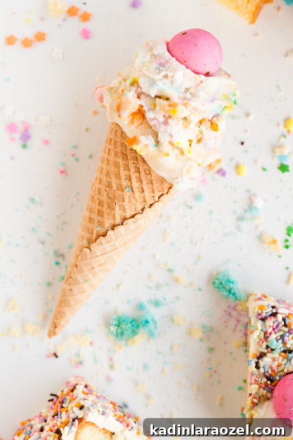 Birthday Cake Ice Cream Recipe: How to Make Cake-Flavored Ice Cream 6 Birthday cake ice cream! Click through for the recipe.