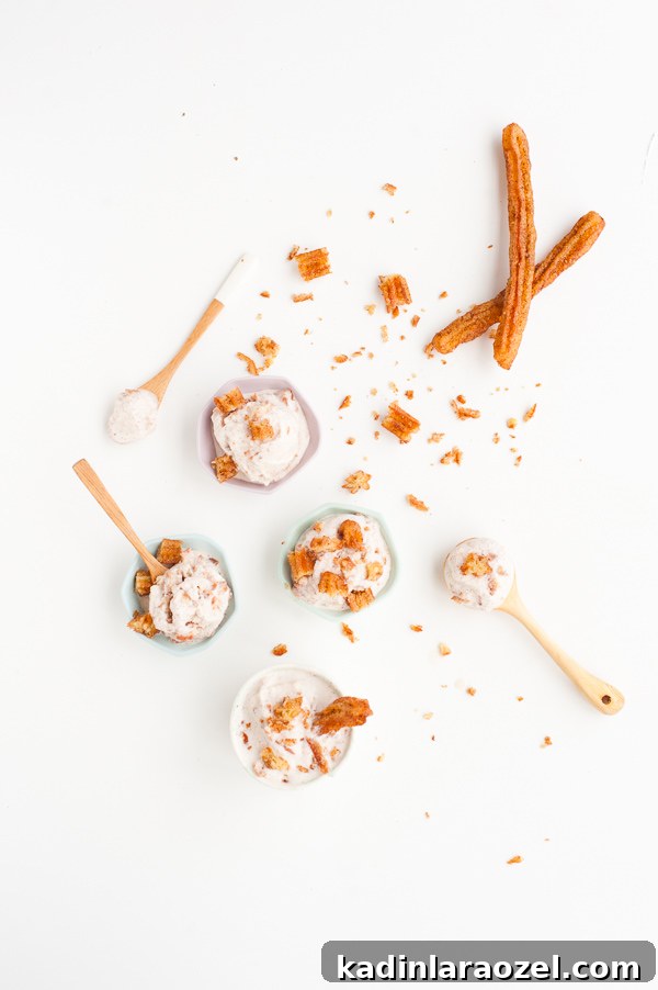 Homemade churro ice cream recipe