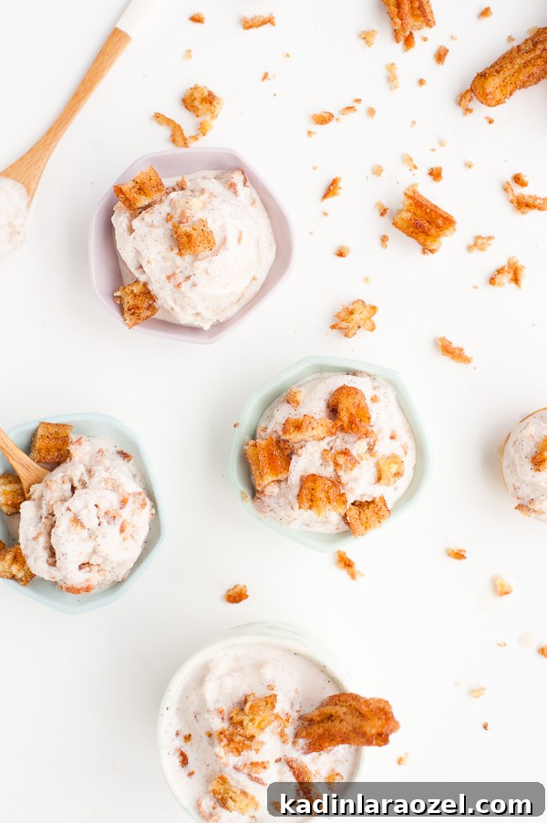 Homemade churro ice cream recipe