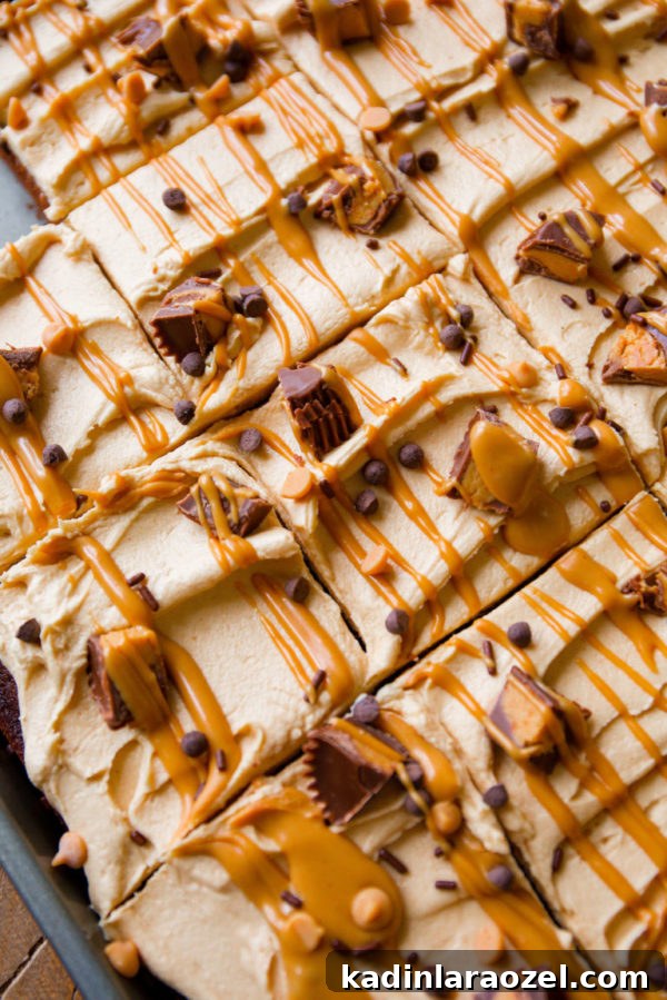 19 Irresistible Peanut Butter Desserts You Can Make Tonight 12 peanut butter cup sheet cake