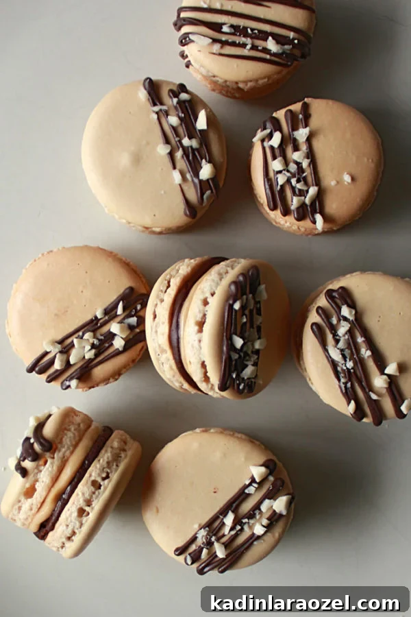 19 Irresistible Peanut Butter Desserts You Can Make Tonight 14 chocolate peanut butter macarons