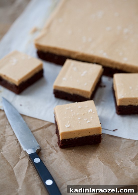 19 Irresistible Peanut Butter Desserts You Can Make Tonight 17 peanut butter brownies