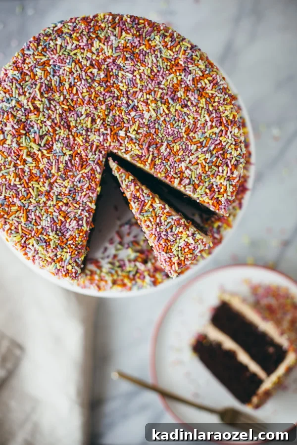 19 Irresistible Peanut Butter Desserts You Can Make Tonight 5 chocolate peanut butter sprinkle cake