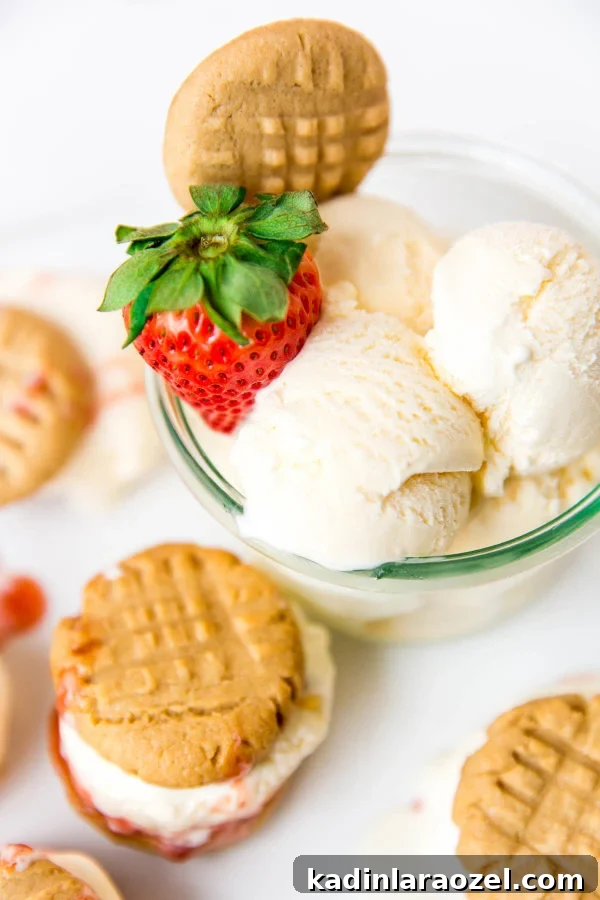 19 Irresistible Peanut Butter Desserts You Can Make Tonight 9 homemade peanut butter and jelly ice cream sandwiches