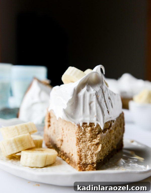 19 Irresistible Peanut Butter Desserts You Can Make Tonight 10 peanut butter cheesecake