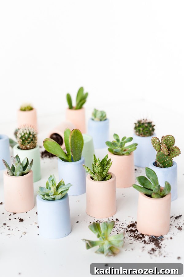 Behind the Scenes: Fruit Stacks, Dirt Spills, Breakfast Tacos & Hopper the Cat 16 Tiny DIY Planters