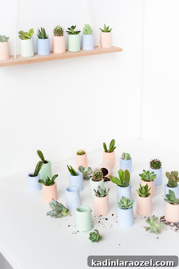 Behind the Scenes: Fruit Stacks, Dirt Spills, Breakfast Tacos & Hopper the Cat 3 Planting succulents in tiny, pastel containers