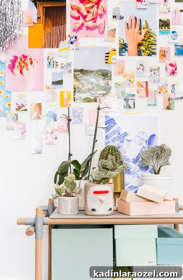 Behind the Scenes: Insider Look at Animal Geek Creations 2 Organized chaos, with colorful prints, planters, and patterned boxes.