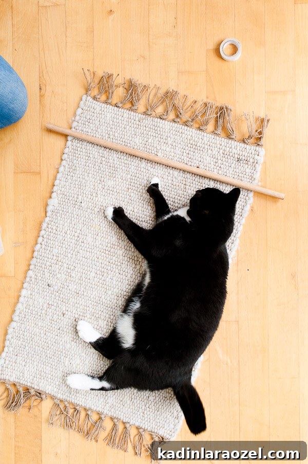 Behind the Scenes: Insider Look at Animal Geek Creations 3 A cat that likes to DIY - behind the scenes with Paper & Stitch.