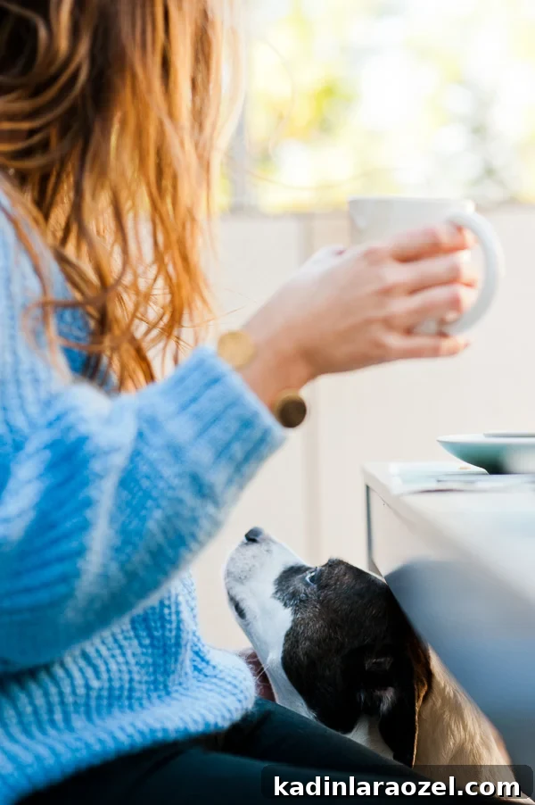 Behind the Scenes: Insider Look at Animal Geek Creations 9 Brittni Mehlhoff shares a look at life behind the scenes as a blogger (and animal lover).