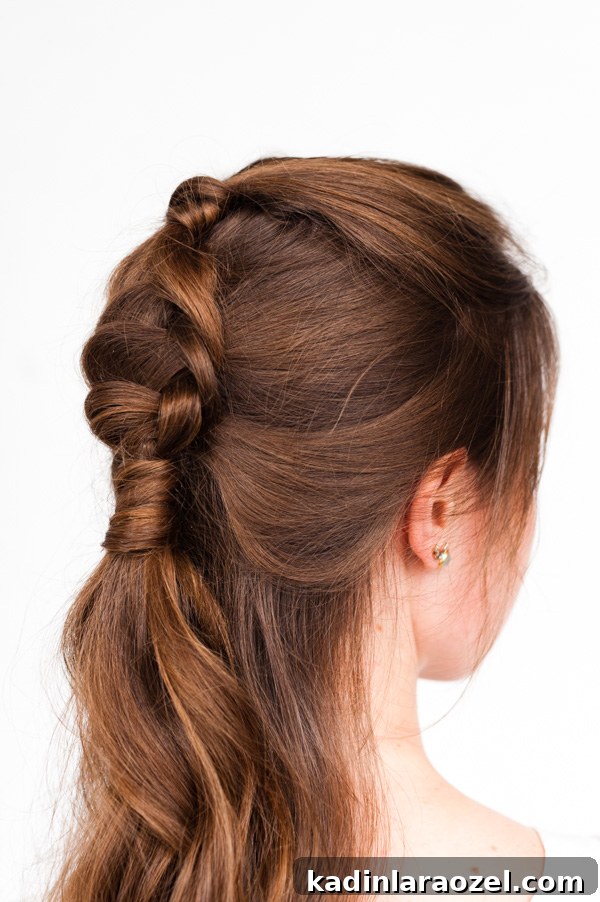Half-Up Ponytail Braid Tutorial: Step-by-Step Styling Guide 6 Pony Up: A Half Up Pony Braid Hair Tutorial
