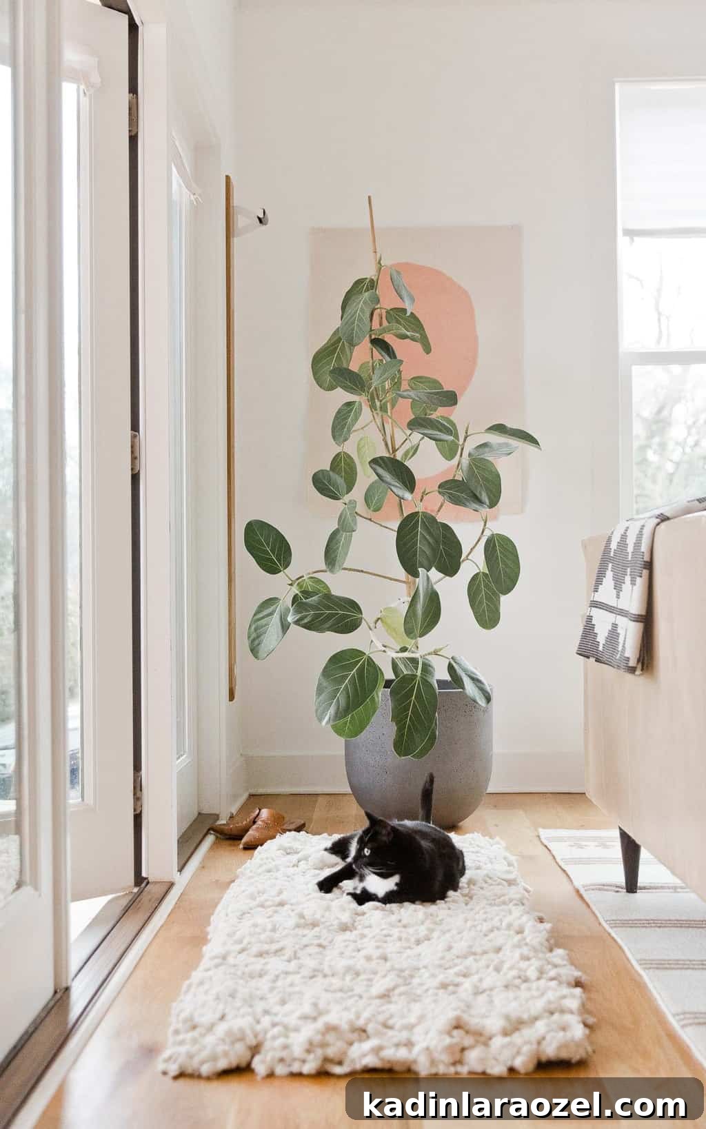 Cat sitting on fluffy DIY rug with ficus in background