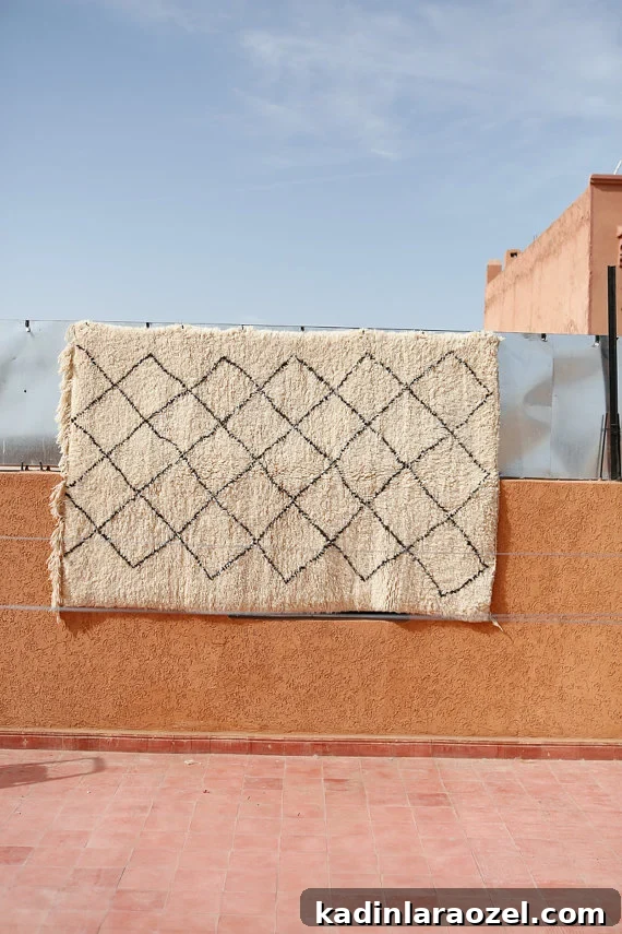 Rug Thug: 17 Rugs That Transform Any Room 2 Rug Thug: 17 Rugs that Will Make the Room