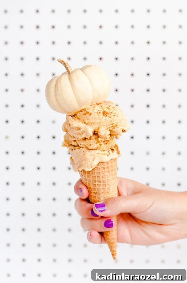 Pumpkin pie ice cream recipe for Thanksgiving