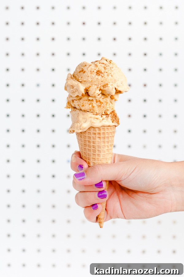 Pumpkin pie ice cream for Thanksgiving. Click through for the recipe.