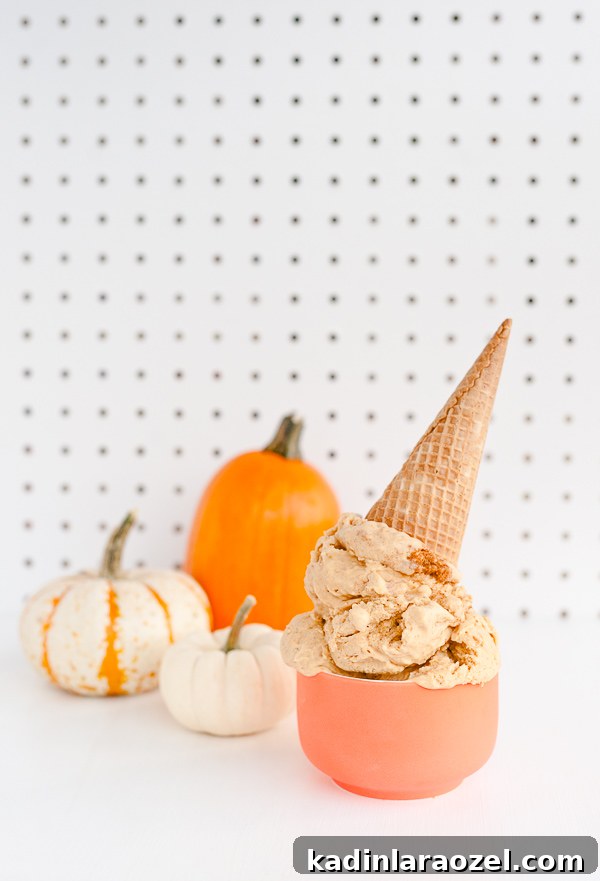 Pumpkin pie ice cream recipe for Thanksgiving