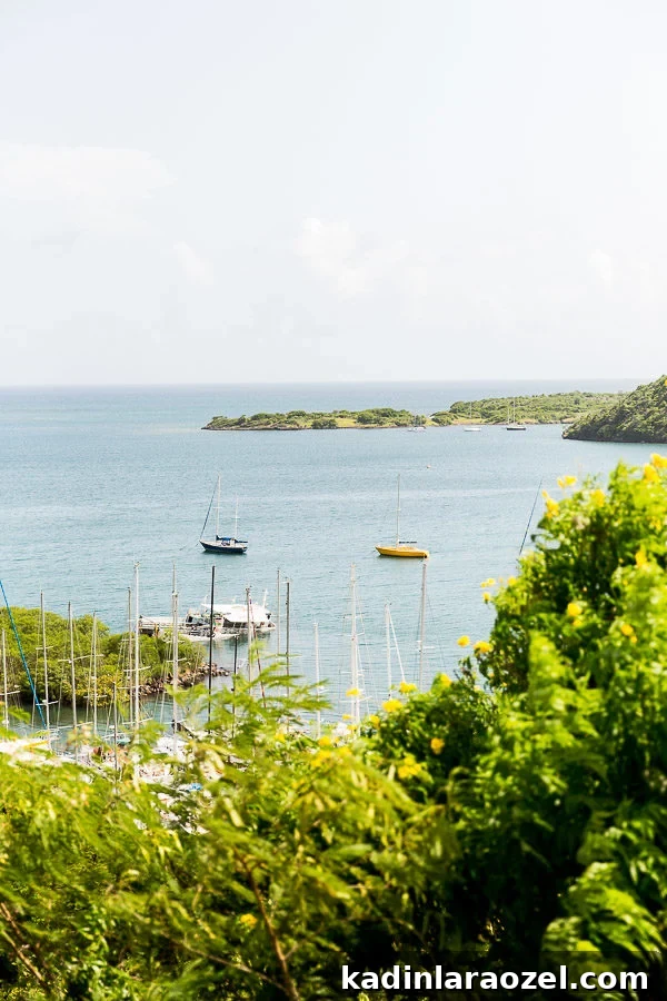 Grenada Travel Guide: Top Places to Visit and Things to Do 16 St. George's, Grenada