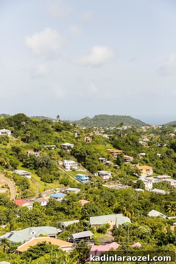 Grenada Travel Guide: Top Places to Visit and Things to Do 19 St. George's, Grenada