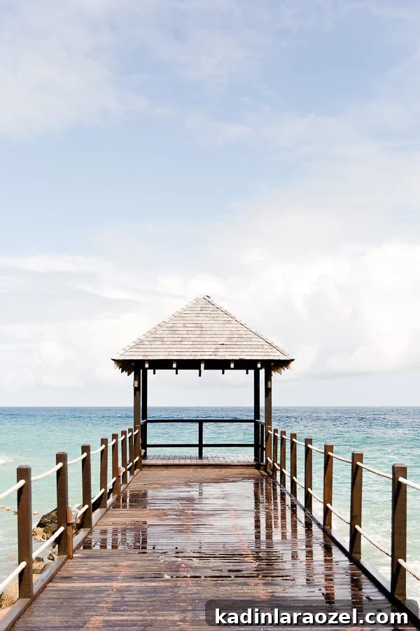 Grenada Travel Guide: Top Places to Visit and Things to Do 5 St. George's, Grenada