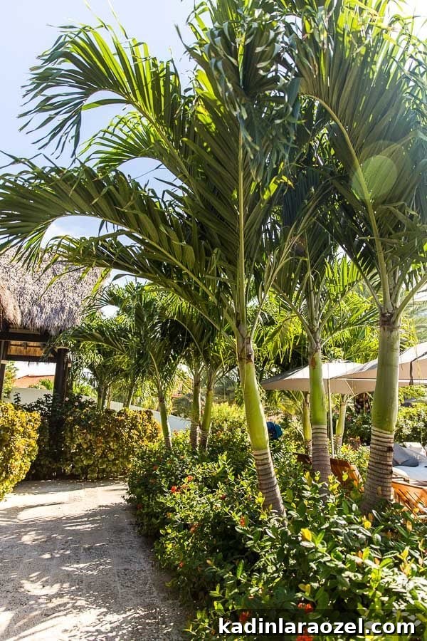 Grenada Travel Guide: Top Places to Visit and Things to Do 7 Where to Go and What to Do in Grenada