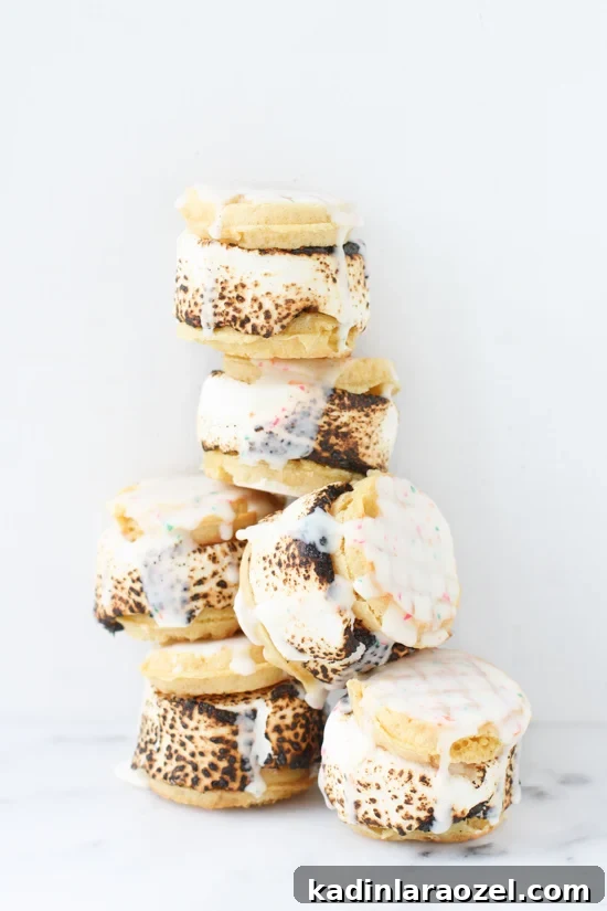 s'more waffle sandwiches