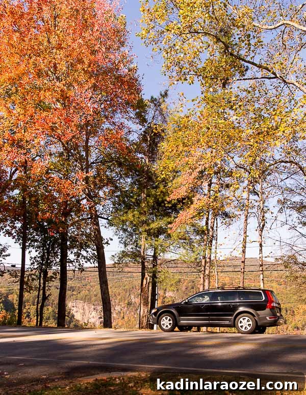 Road Trips: My Recent Asheville Adventure and Travel Tips 3 Let talk road trips