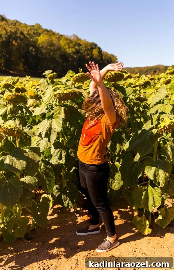 Road Trips: My Recent Asheville Adventure and Travel Tips 5 Running through sunflower fields