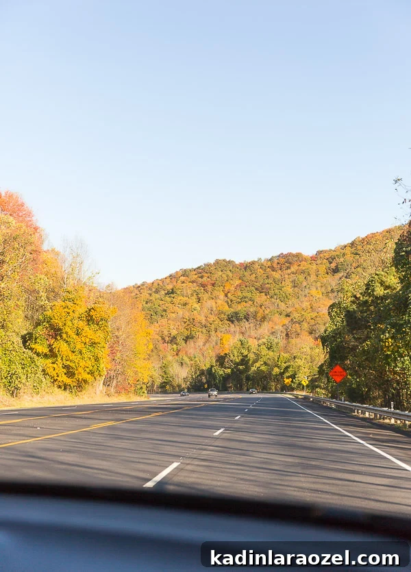 Road Trips: My Recent Asheville Adventure and Travel Tips 6 Road trip to Asheville, NC