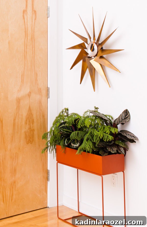 Nelson clock and modern planter