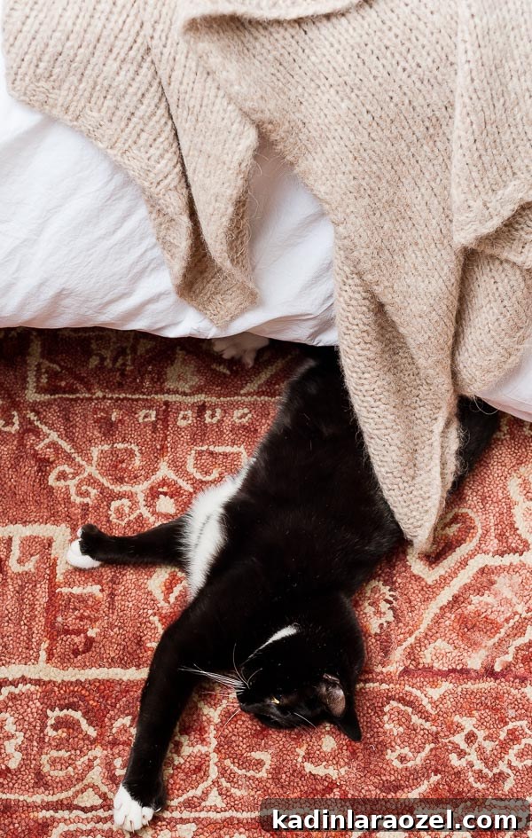 Mid-Century Master Bedroom Makeover: Simple Timeless Design Ideas 7 Cozy cat