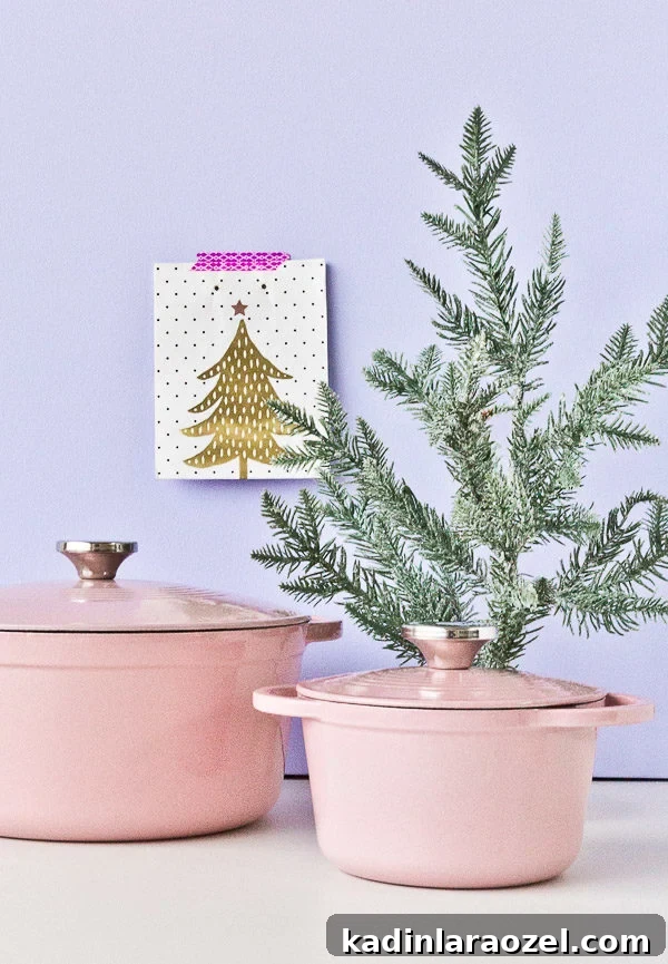 Last minute holiday gift ideas (for the cook)