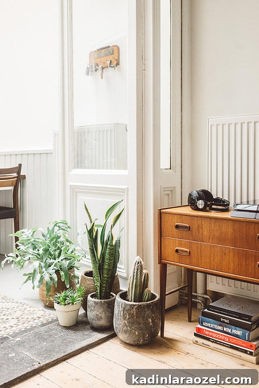 Vintage mid-century credenza in the entryway