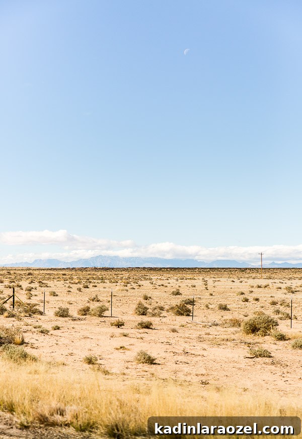 Quick Getaway to New Mexico and White Sands National Park 4 A road trip to New Mexico with Paper & Stitch.