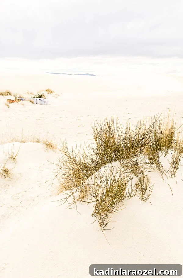 Quick Getaway to New Mexico and White Sands National Park 5 White Sands, New Mexico
