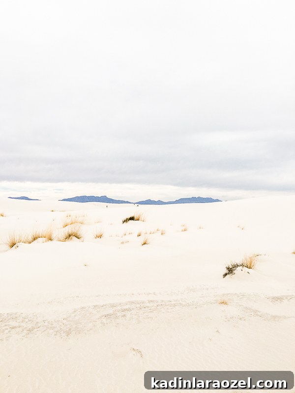 Quick Getaway to New Mexico and White Sands National Park 7 A quick trip to White Sands, New Mexico.