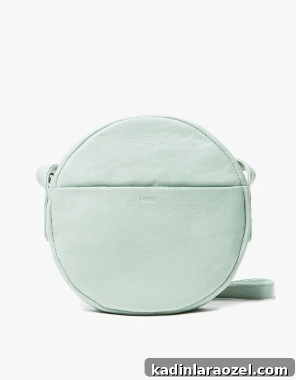 A minty fresh Baggu circle bag.