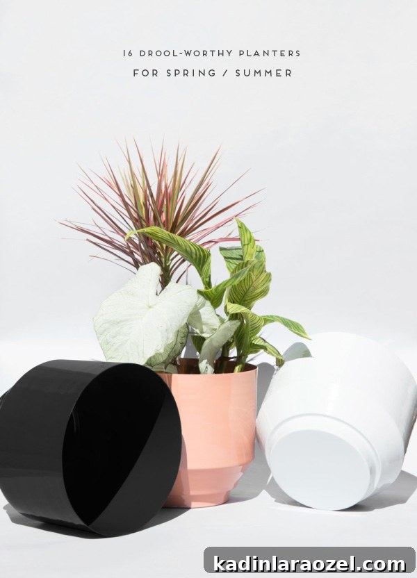 16 Drool-Worthy Planters for Spring / Summer